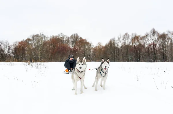 Rodelen met hond — Stockfoto