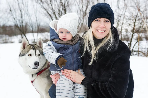 Feliz joven madre con hija en el parque de invierno con perro huskies . —  Fotos de Stock