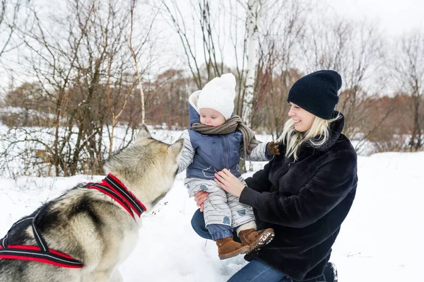 Glückliche junge Mutter mit Tochter im Winterpark mit Huskies-Hund. — Stockfoto