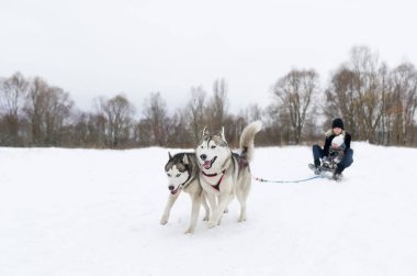 İki köpek dış yapraklar ile kızak