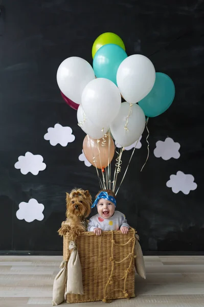 The little girl and pet dog sitting in a basket of balloon — Stock Photo, Image