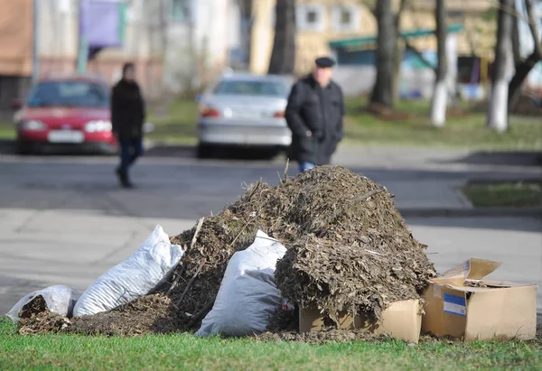 Högen av torra löv och sopsäck i stadsparken — Stockfoto