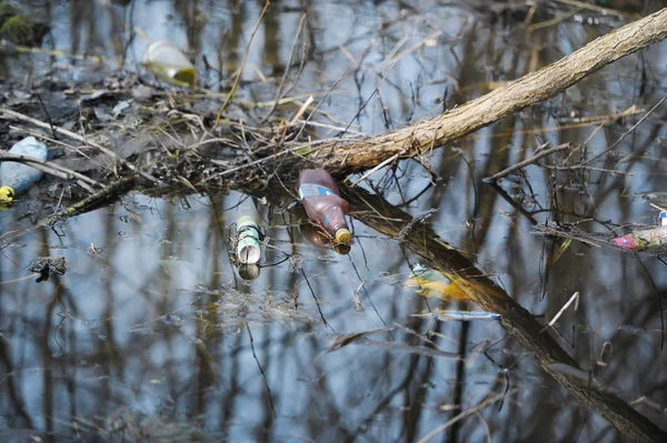 Basura, botella y reflejo de árboles en el agua — Foto de Stock