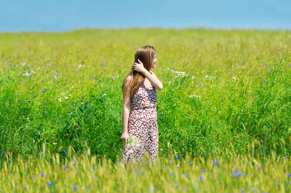 Jeune belle femme avec bouquet de camomilles dans une robe debout dans un champ de bleuet — Photo