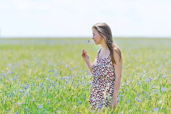 Feliz joven en el campo de maíz con acianos — Foto de Stock