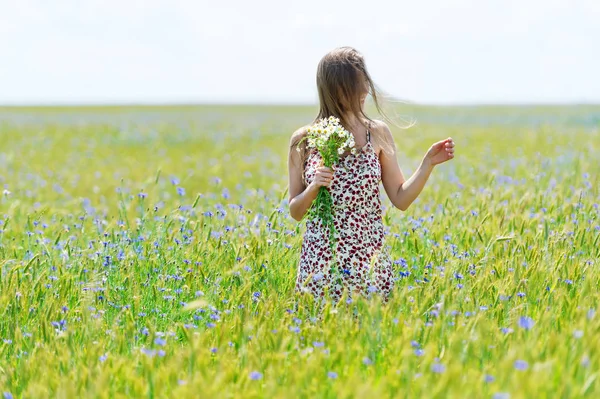 Jovem mulher bonita com buquê de camomilas em um vestido de pé em um campo de milho — Fotografia de Stock