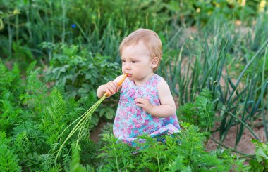 Bir havuç tutan mutlu küçük kız. 