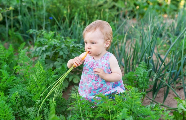 Bir havuç tutan mutlu küçük kız. 