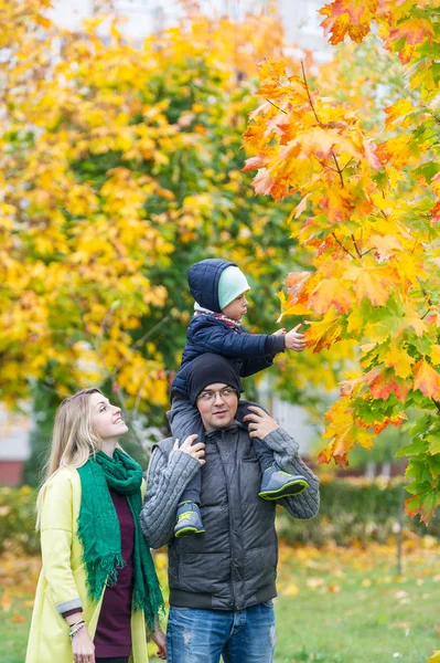 Padre, madre y su pequeño hijo caminando en el jardín de otoño. Niño sentado en los hombros de su padre . — Foto de Stock