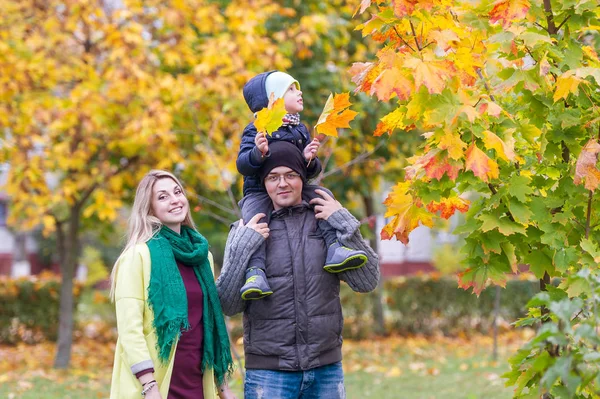 Padre, madre y su pequeño hijo caminando en el jardín de otoño. Niño sentado en los hombros de su padre . — Foto de Stock