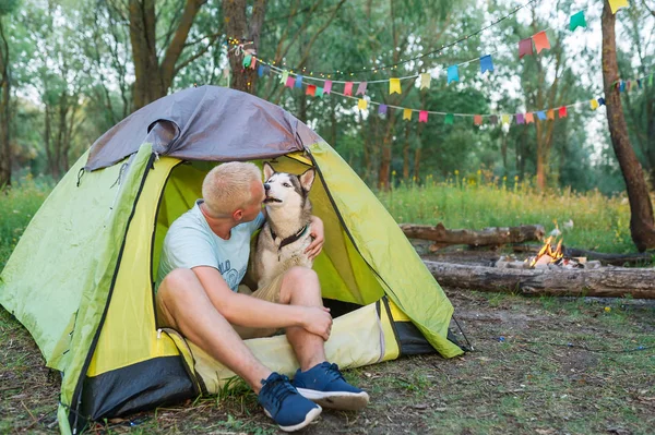 Genç adam oturup çadır ile köpek, sonbahar doğada kamp