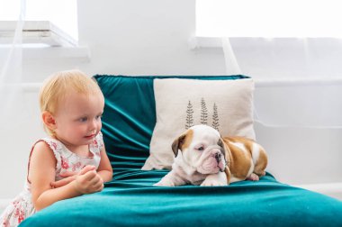 Küçük kız bulldog köpek yavrusu ile harika bir zamandı