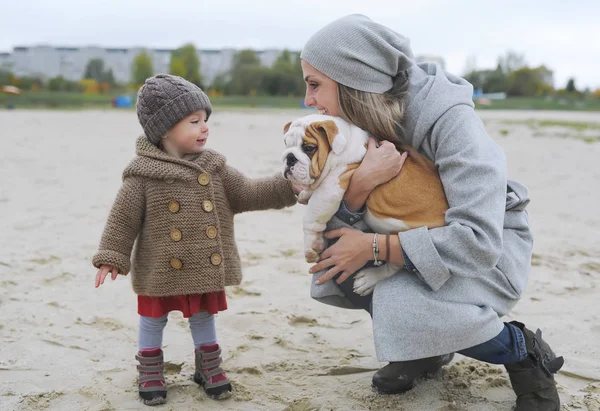 Linda niña juega con un cachorro de un buldog en la orilla del río en otoño — Foto de Stock