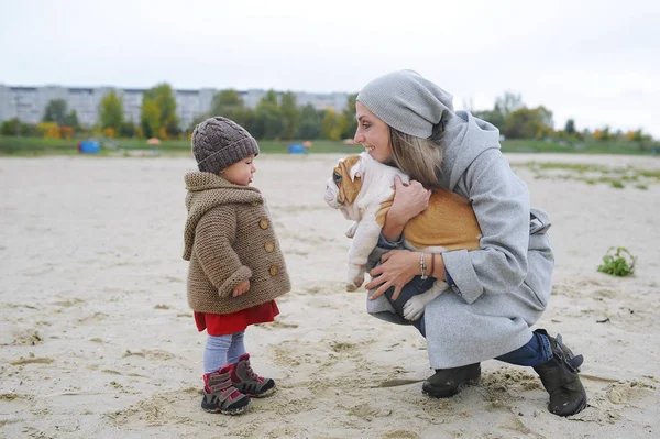 Söt baby flicka leker med en valp av en buldog utomhus. — Stockfoto