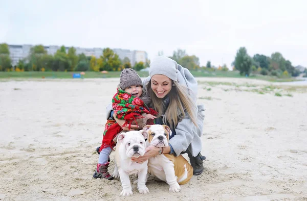 Retrato familiar de la madre con la hija pequeña y dos cachorros de un bulldog en otoño al aire libre . — Foto de Stock