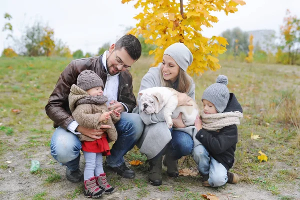 幸せな家族の肖像画: 母、父、子供、ブルドッグ屋外の 2 つの子犬。アウトドアの秋. — ストック写真