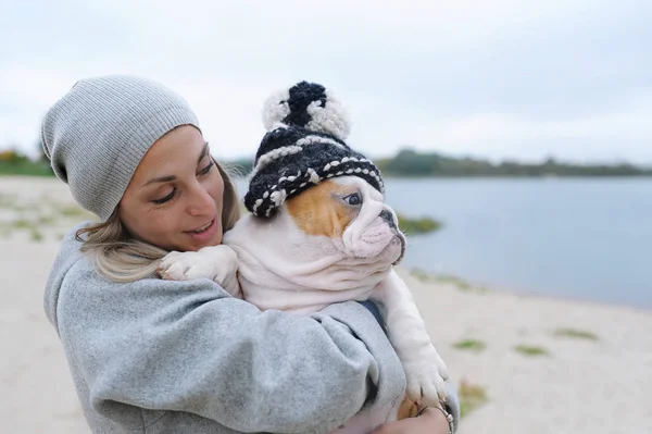 Bulldog i en varm mössa. — Stockfoto