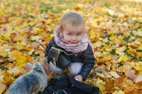 Cute baby and doggy sitting on yellow leaves in autumn park