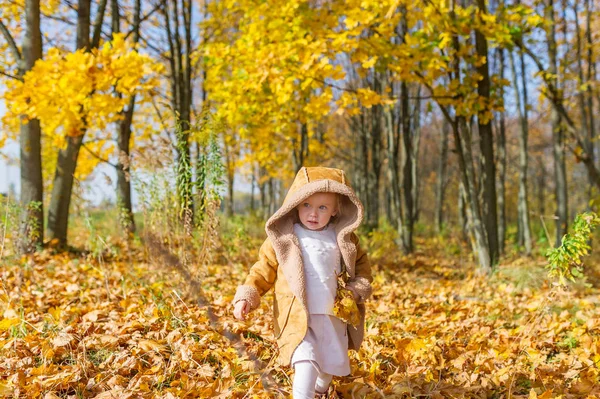 Lindo bebé caminando sobre hojas amarillas en el parque de otoño — Foto de Stock