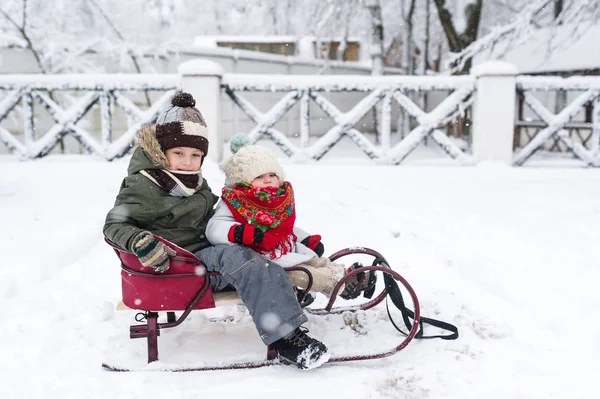 小さな子供たちはそりに乗るをお楽しみください。そりの子。雪の中で外で遊ぶ子供たち. — ストック写真