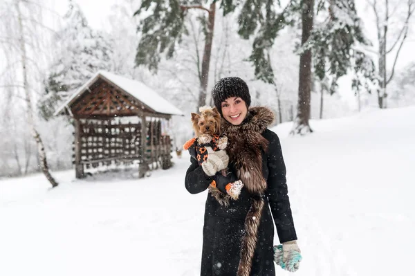 Jovencita con perro pequeño está en el campo cubierto de nieve. Sensación de ternura con un perro —  Fotos de Stock