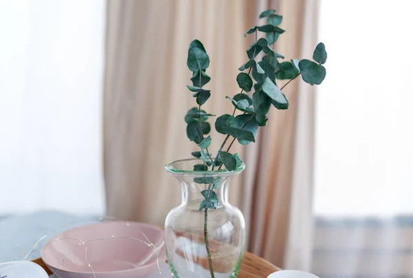 Planta verde en el jarrón de vidrio en la mesa en la casa sala de estar — Foto de Stock