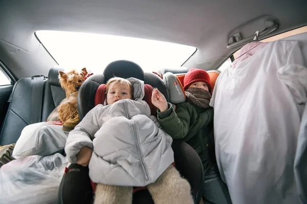 Bébé mignon enfants avec chien assis dans le siège d'auto de sécurité — Photo