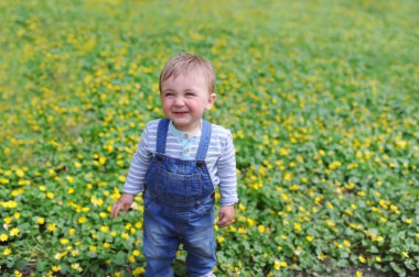 Güzel küçük çocukla bir çayır üzerinde sarı çiçekler dandelions Şehir Parkı doğada üzerinde
