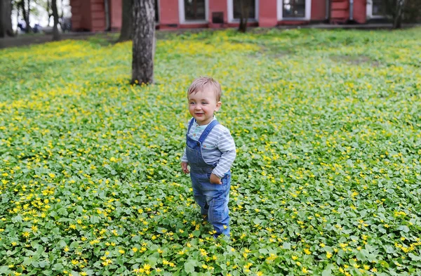 Маленький мальчик на лужайке с желтыми цветками одуванчиков на природе в городском парке — стоковое фото