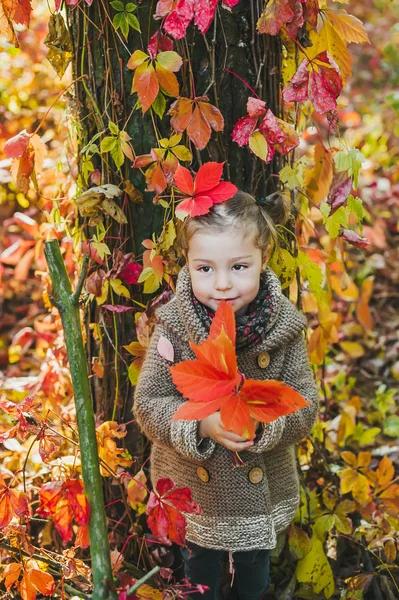 Felice bambina nella foresta autunnale con foglie autunnali gialle e rosse in mano . — Foto Stock