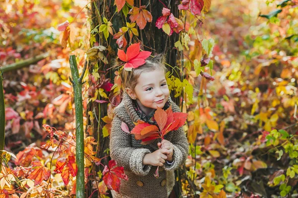 Ragazzina felice con foglie rosse in testa nel parco autunnale — Foto Stock