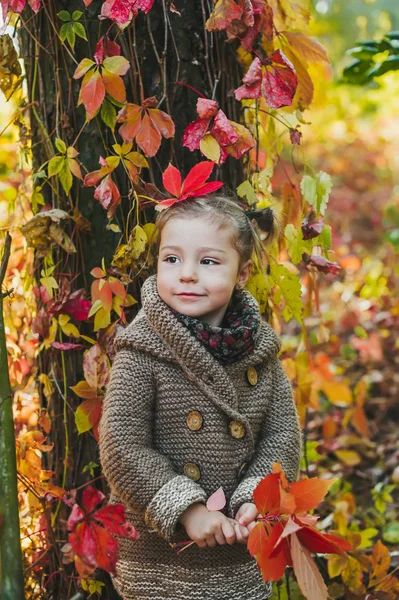 Ragazzina felice con foglie rosse sulla testa — Foto Stock