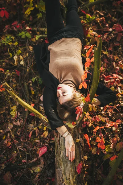 Vista de una hermosa chica en un tronco de madera en el parque de otoño — Foto de Stock
