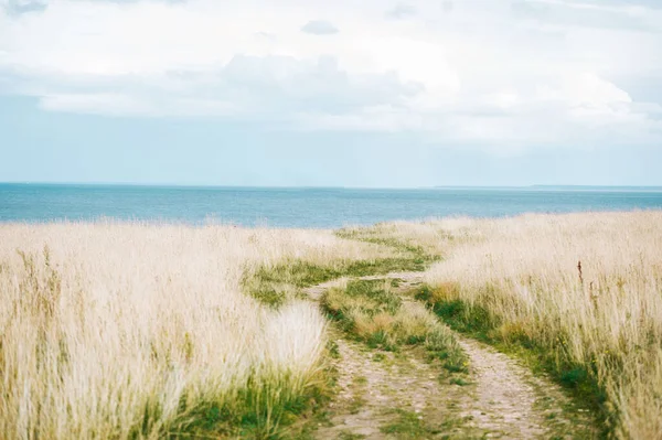 Footpath approaches beautiful the edge of the rocky coast of the Baltic sea. — Stock Photo, Image