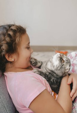 Küçük kız İskoç kedisiyle oynuyor. Yavru kedi yukarı bakar..