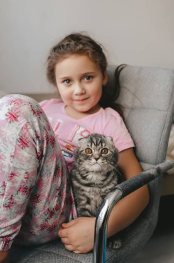 Güzel İskoç kedi yavrusu küçük kızla oturur ve kameraya bakar..