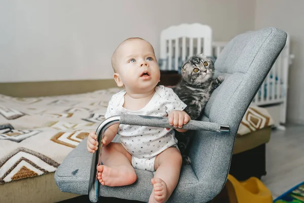 Blonde baby boy with kitten is sitting on the chair and look to up. — Stock Photo, Image