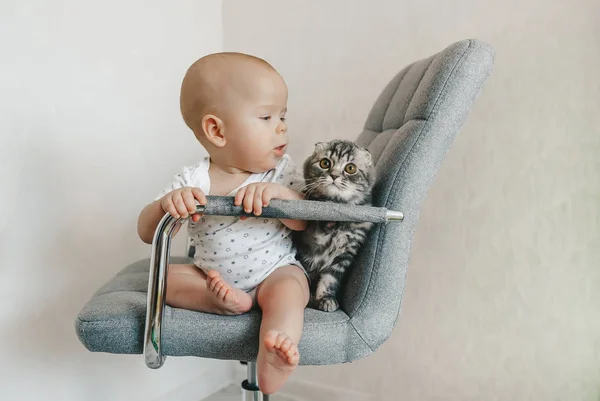 Bebé con gatito en la silla interior . — Foto de Stock