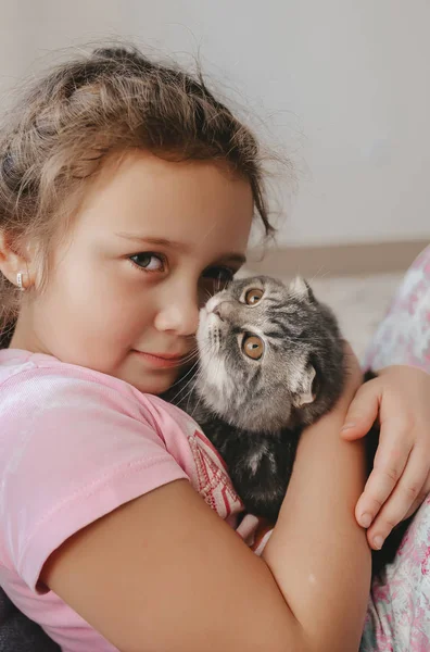 Krásná holčička a roztomilé skotské koťátko. Closeup — Stock fotografie