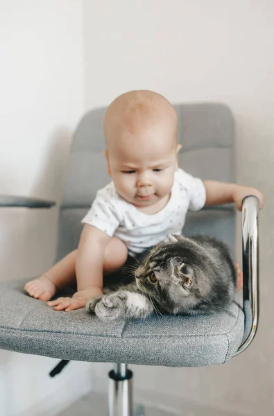 Bebê com gatinho na cadeira dentro de casa . — Fotografia de Stock