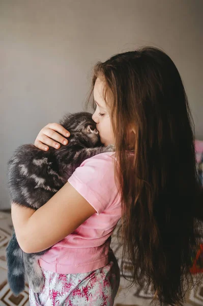 Mooie Schotse vouw kitten en schattig klein meisje — Stockfoto