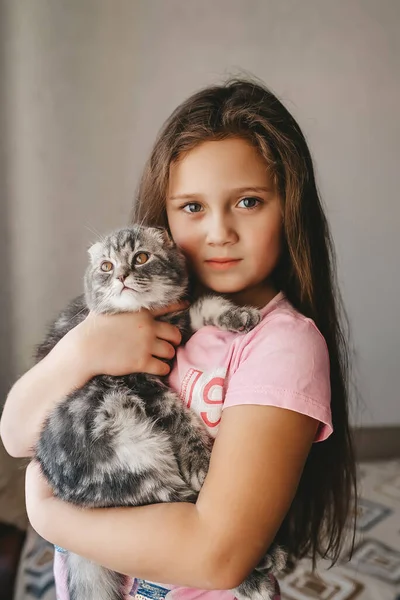 Krásná causiasian dívka objetí skotské složit kotě doma. Zvířecí koncept. — Stock fotografie