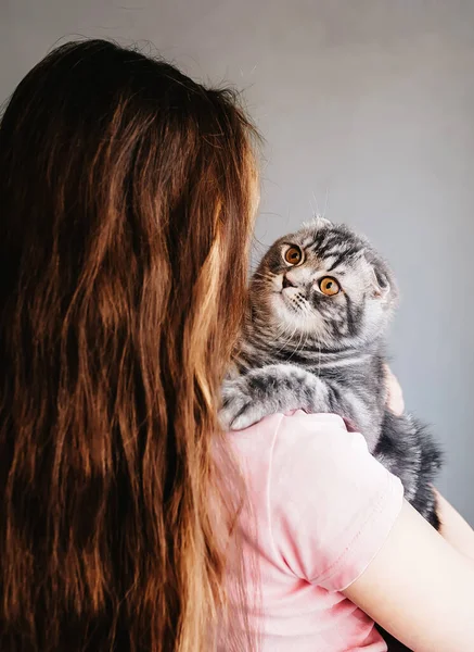 Little girl holding her new pet. Back view — Stock Photo, Image