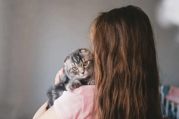 Cute kitten sits on the long-haired little girl's shoulder and looks to camera. — Stock Photo, Image