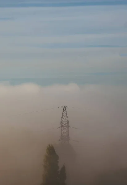 Power line and one tree hidden in thick fog in distance. Vertical view