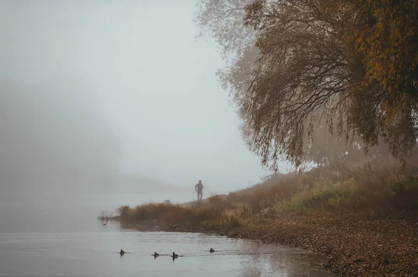 Beautiful Foggy Morning Lake Ducks Fisherman Distance Shore Autumn Landscape — Stock Photo, Image