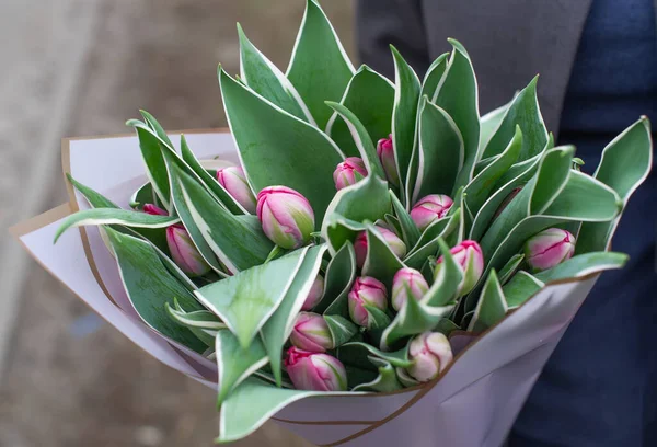 Mãos Mulher Segurar Flores Tulipa Roxas Parque Primavera Vista Superior — Fotografia de Stock