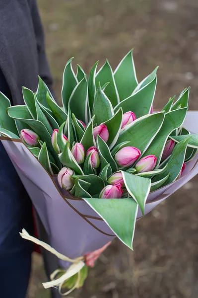 Tulipas Roxas Conceito Férias Buquê Close Flores Para Congratulações — Fotografia de Stock