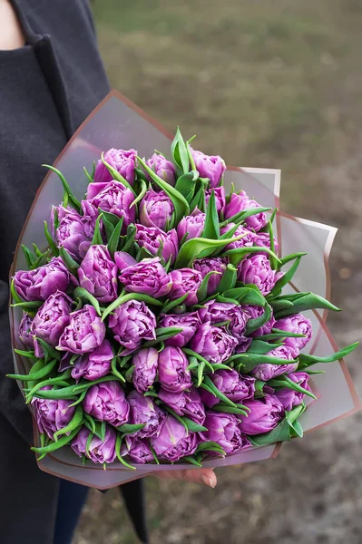 Buquê Tulipas Roxas Dia Dos Namorados Dia Mãe Dia Mulher — Fotografia de Stock