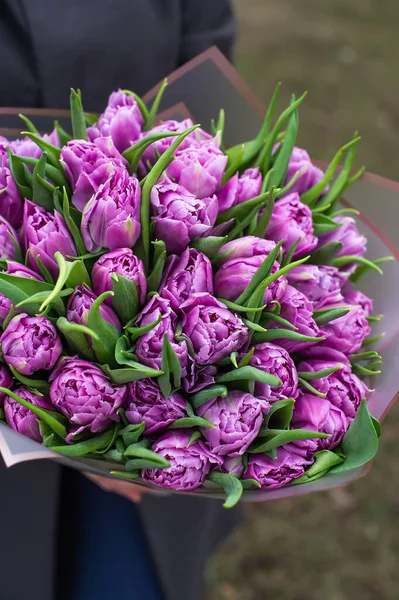Purple tulips in womans hand. Top view. Beautiful bouquet of tulips in spring. Valentine's day or Mother's day or Woman's day. Top view.